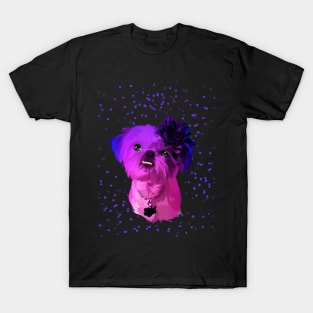 Dog cat colorful T-Shirt